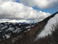 17. forca_cop2
